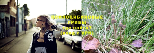 спайс Алексин