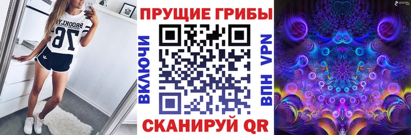 Псилоцибиновые грибы Cubensis  Ессентукская 