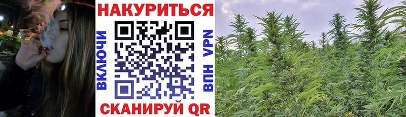 где купить наркотик  Ессентукская  сайты даркнета как зайти  Канабис Ganja 